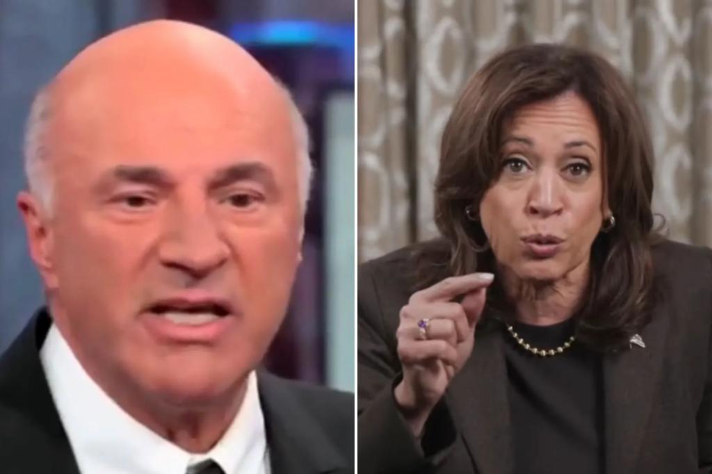 Kevin O'Leary calls Kamala Harris a 'broken' candidate with 'no compassion' in brutal on-air criticism.